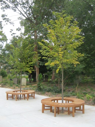 circular tree bench